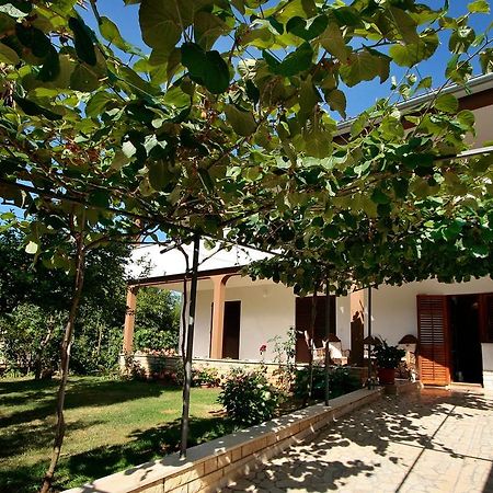 פורץ Apartment Kazalac Green Oasis מראה חיצוני תמונה